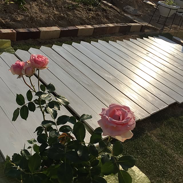 Mutsumiさんの実例写真