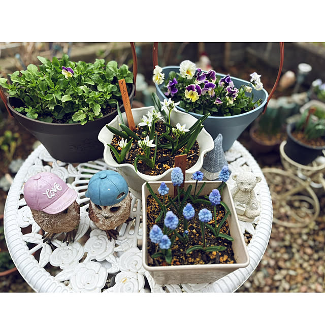 CoCo0617さんの部屋