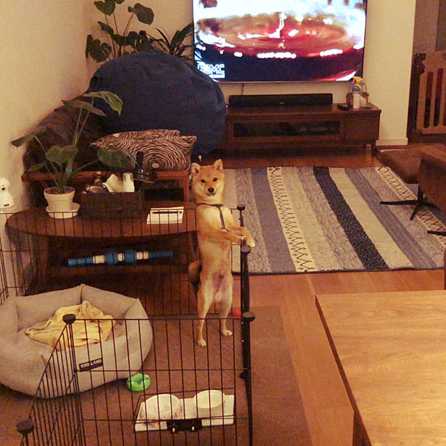 kenzさんの実例写真