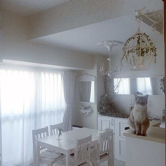 noelさんの実例写真