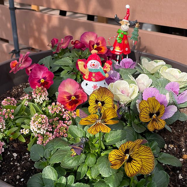 ronronさんの実例写真