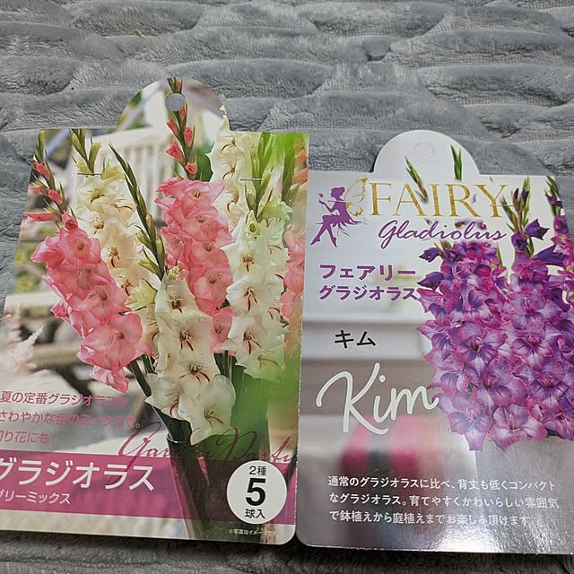 Shion+さんの部屋