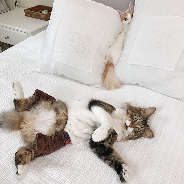 yuchiさんの実例写真