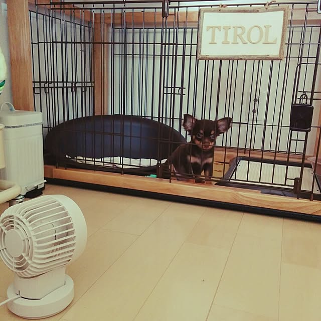 miyuさんの実例写真