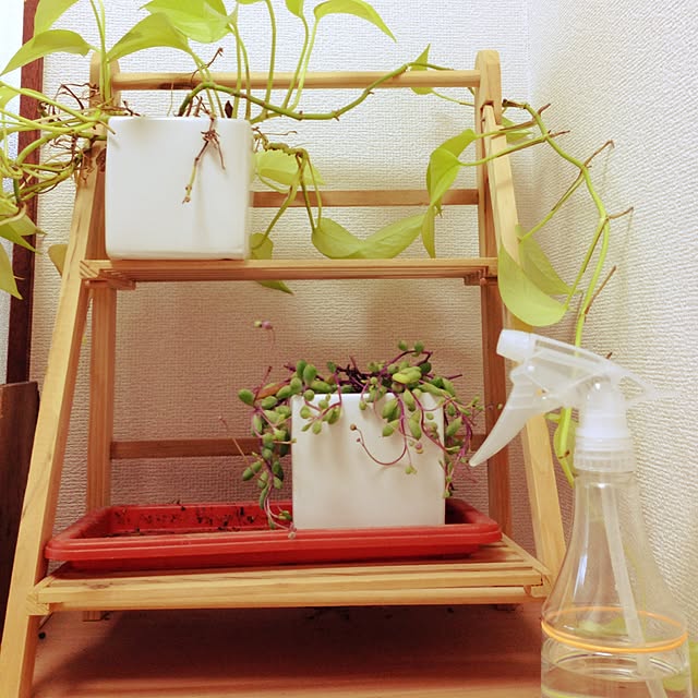 haneさんの実例写真