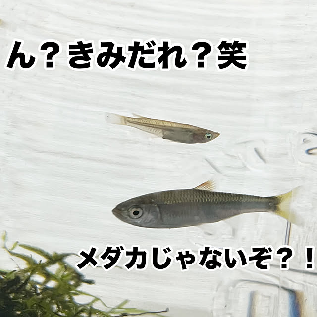 totokoさんの部屋