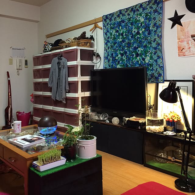 mayuさんの実例写真