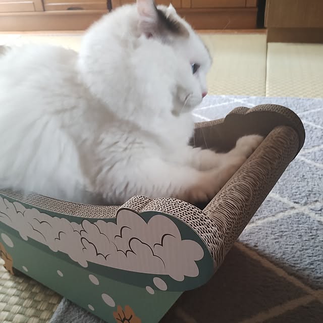 sawa0127さんの実例写真