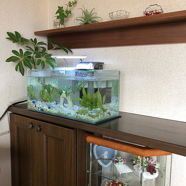 momo_sanさんの実例写真
