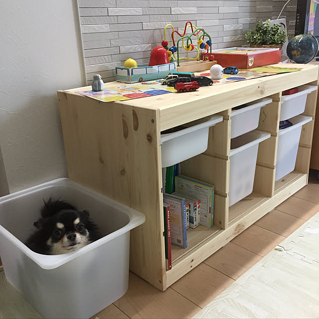 リビング/おもちゃ収納/チワワ/トロファスト/IKEA...などのインテリア実例 - 2018-09-22 11:27:22