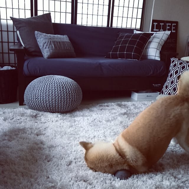 kさんの実例写真