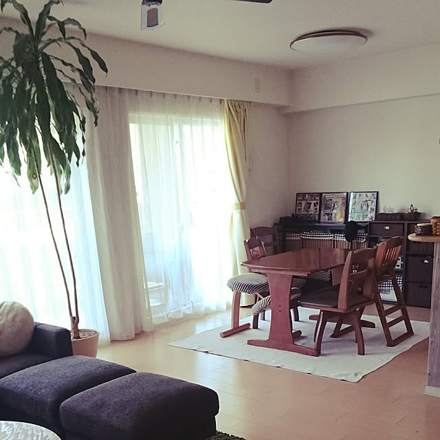 dream_meteorさんの実例写真