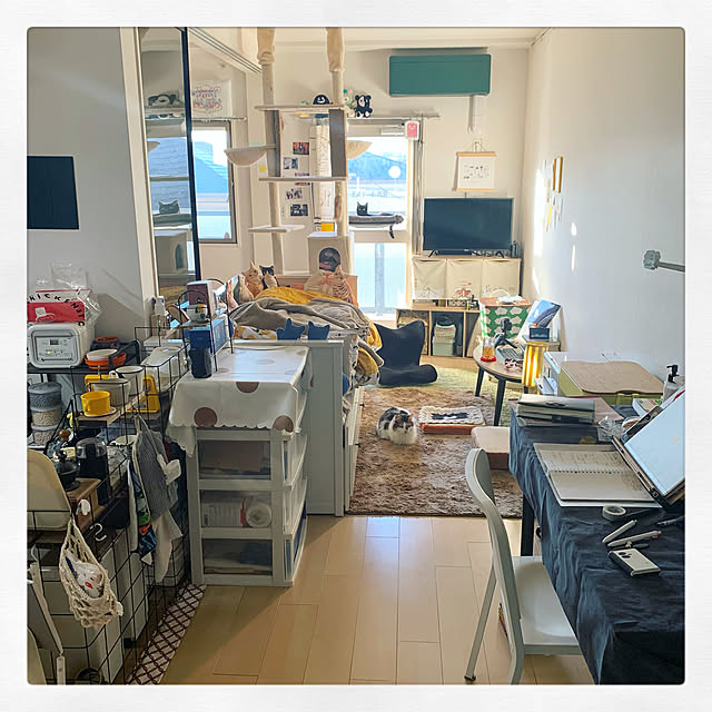 Asakiさんの実例写真