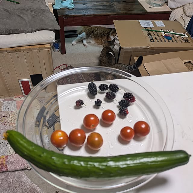 mori_6_12さんの実例写真