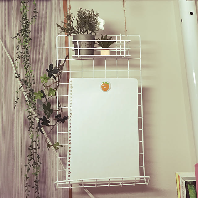 机/ダイソー/100均/DIY/観葉植物...などのインテリア実例 - 2017-08-21 22:43:29