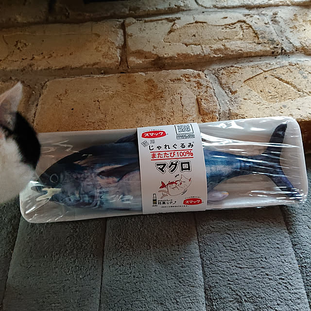 nekosamaさんの実例写真