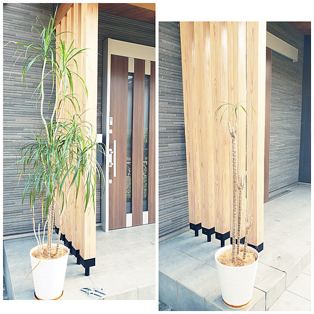 zenoさんの実例写真