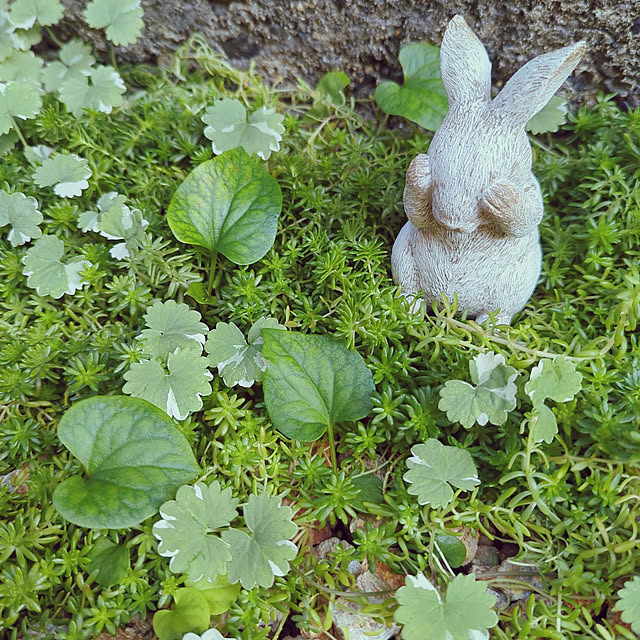 pukiさんの実例写真