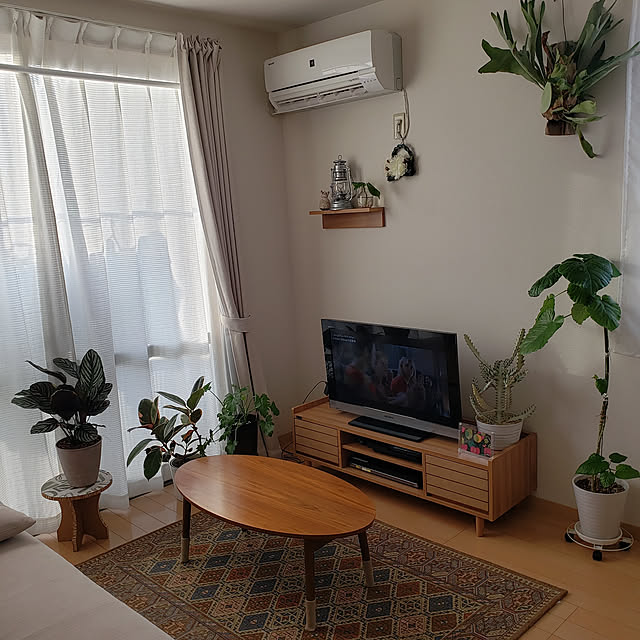 ytom999さんの実例写真