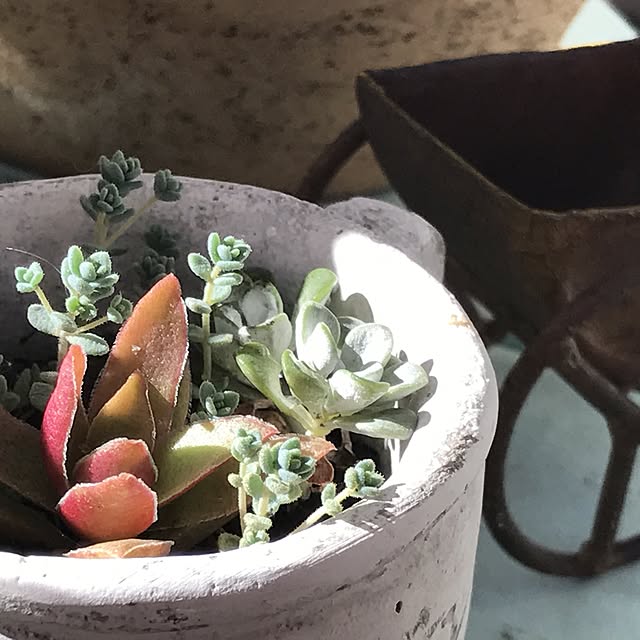 kokko3さんの実例写真