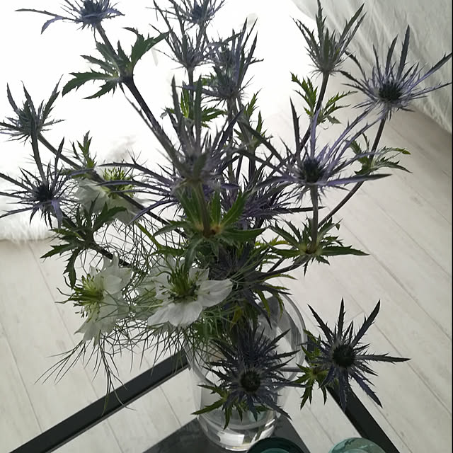 hatenaさんの実例写真