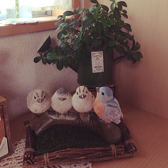 kao1019さんの実例写真