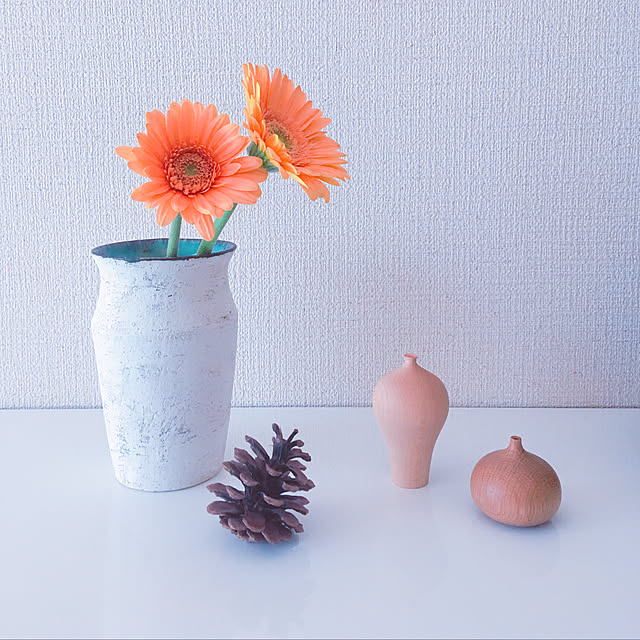 kantaさんの実例写真