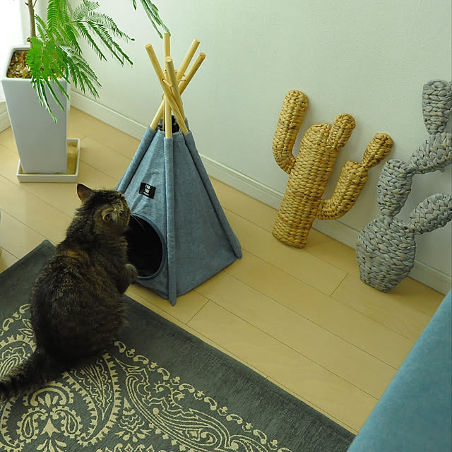 umineccoさんの実例写真