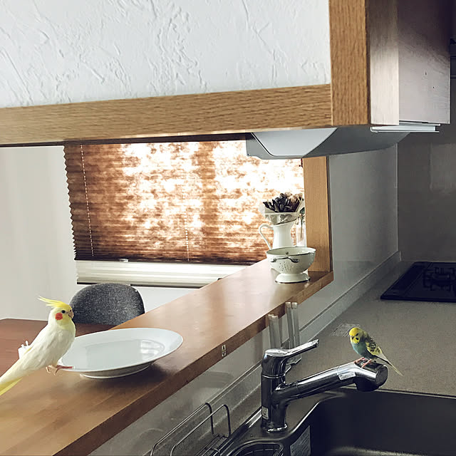 keico228さんの実例写真