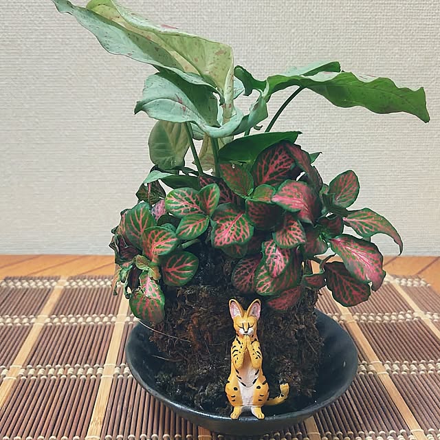 katさんの実例写真