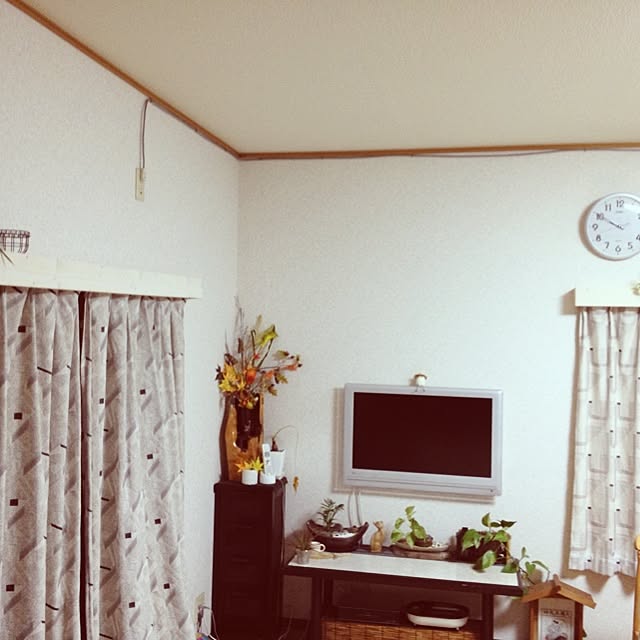salyuさんの実例写真