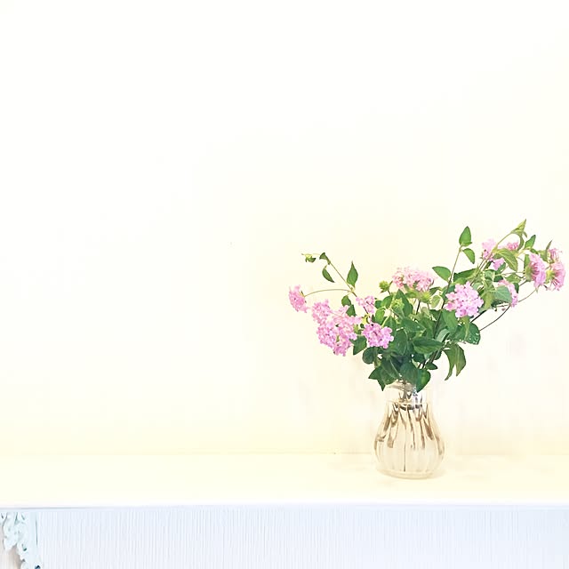 miokiさんの実例写真