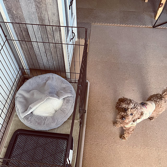 Royutaさんの部屋