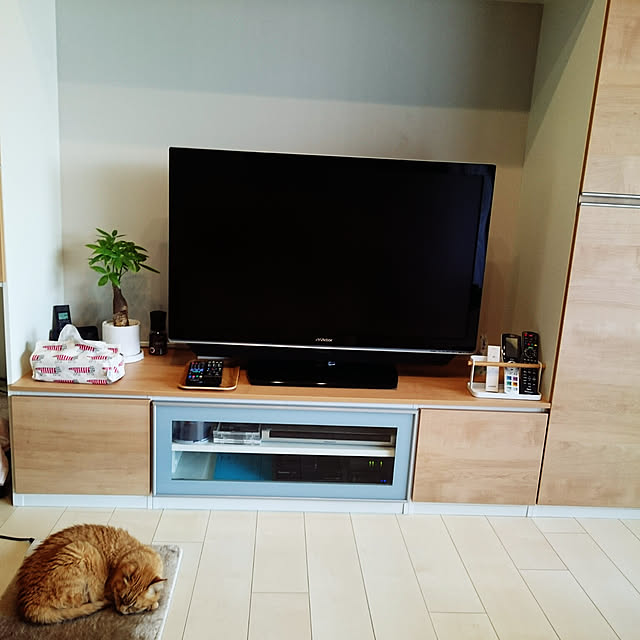 hanacocoさんの実例写真