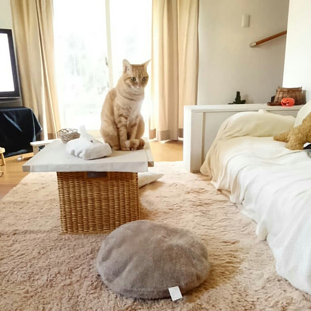 mayutan.さんの実例写真