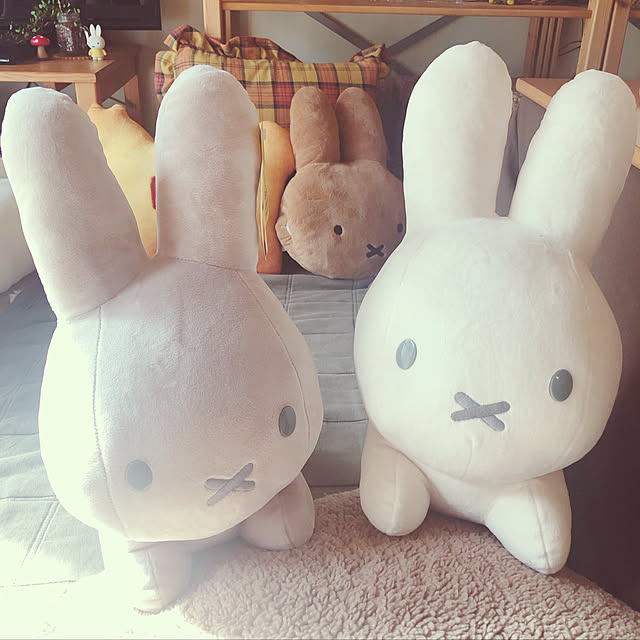 nicoさんの実例写真
