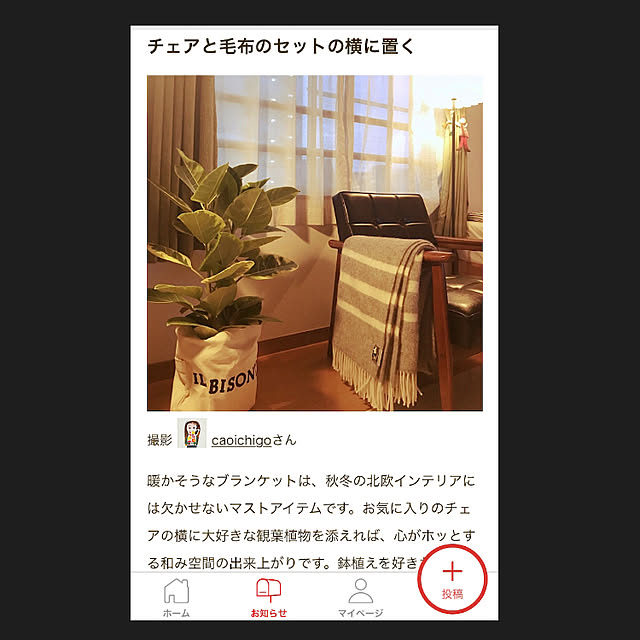 caoichigoさんの実例写真