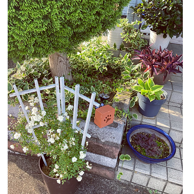 CoCo0617さんの部屋