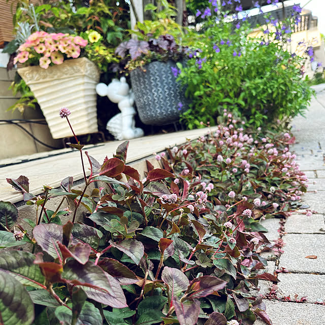 yukarin-gardenさんの部屋