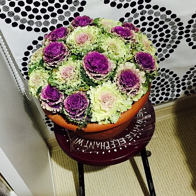 Kazuminさんの実例写真