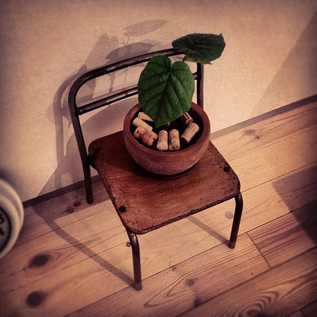 torikushiさんの実例写真