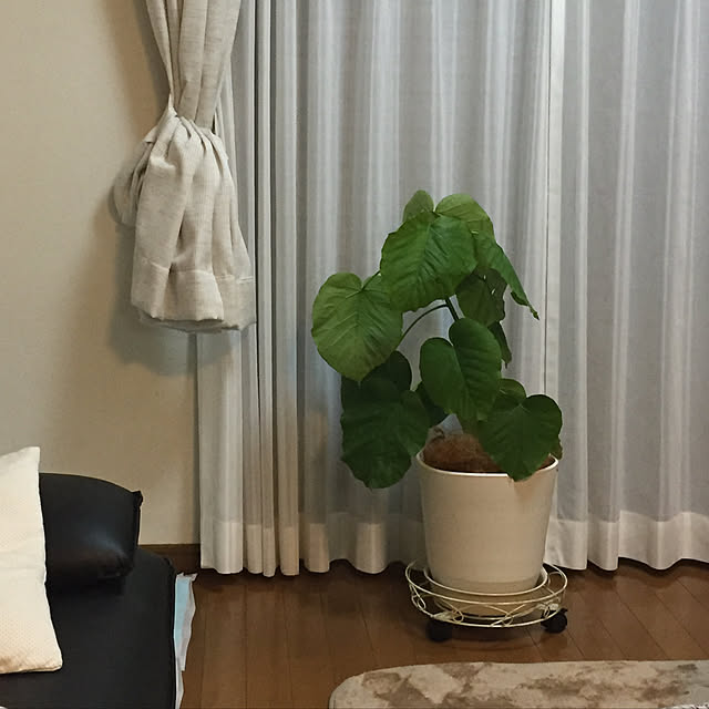 Junran50さんの実例写真