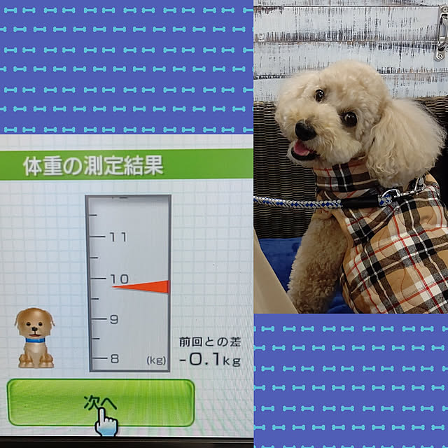 yumirinさんの実例写真