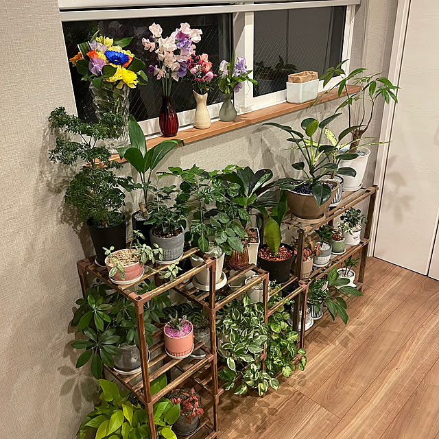 ikuzakさんの実例写真