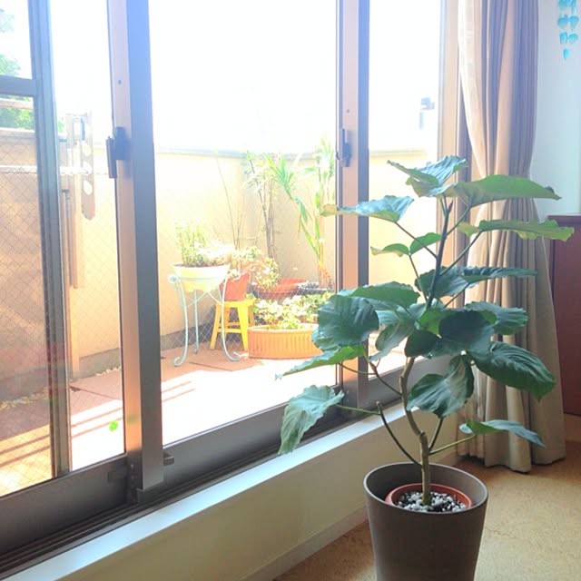 y.さんの実例写真