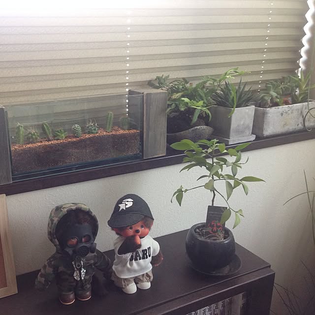 HALさんの実例写真