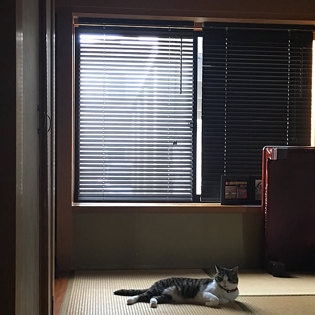 Rumiさんの実例写真
