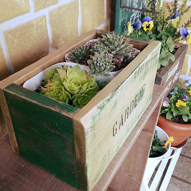 cactus0610さんの実例写真
