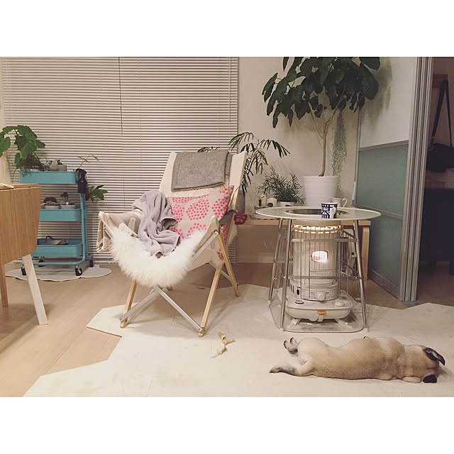 YUIさんの実例写真