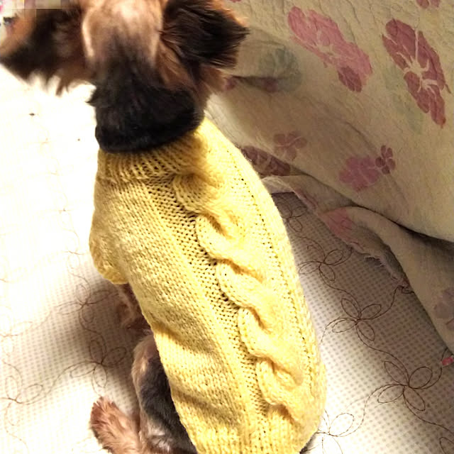 chiikokunさんの実例写真
